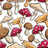 seamless pattern of colorful mushroom with hand drawn style vector