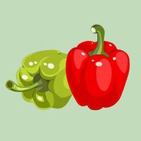 One green Bell pepper and one Red Bell pepper show reflex of light and shadow. Flat vector illustration object.