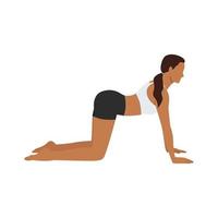 Woman doing Cow pose Bitilasana exercise. Flat vector illustration isolated on white background