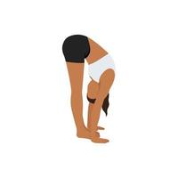 Woman doing standing forward bend pose uttanasana exercise. Flat vector illustration isolated on white background