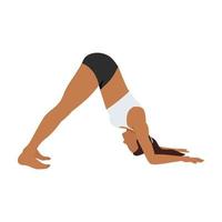 Woman doing Dolphin pose ardha pincha mayurasana exercise. Flat vector illustration isolated on white background