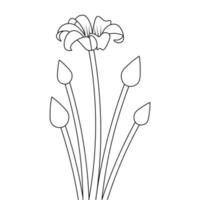 conceptual creative line art flower coloring with hand drawn shape on white background vector