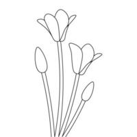 página para colorear flor ilustraciones línea continua boceto gráfico para niños vector