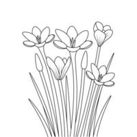 flower creative pencil line art coloring page for kid and adult vector