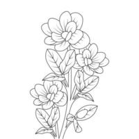 flower coloring page outline hand drawing botanical educational design vector