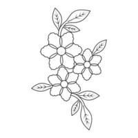 botanical blooming petal with leaves line art drawing element for coloring page vector