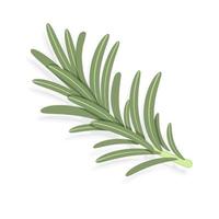 ramita verde de romero, planta aromática de plantas medicinales de estilo plano para sazonar, ilustración vectorial aislada en fondo blanco