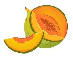 Vector illustration of a melon. Sliced melon with a slice. Ripe fruit.