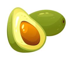 Vector illustration of an avocado on a white background. Juicy fruit with a stone