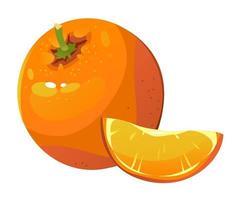 ilustración vectorial de una naranja. una rodaja de naranja. agrios. fruta madura. vector