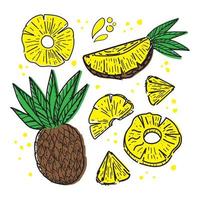 Set of pineapples, drawn doodle elements in sketch style. Whole pineapple, parts, leaves, slices, core, juice drops. Collection of fruit images. Vector illustration, isolated on white background
