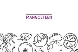 Template with mangosteen, drawn with sketch style doodle elements. Whole mangosteen, parts, leaves, slices, core. Lettering. Vector illustration on white background