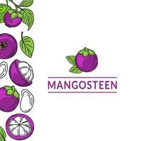 Template with mangosteens drawn with sketch style doodle elements. Whole mangosteen, parts, leaves, slices, core. Collection of fruit images. Vector illustration with space for text