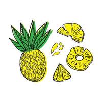 Set of pineapples, drawn doodle elements in sketch style. Whole pineapple, parts, leaves, slices, core, juice drops. Collection of fruit images. Vector illustration, isolated on white background.