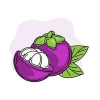 Bright mangosteen fruit, hand-drawn sketches with doodle elements. Fruit with leaves and cut in half. Mangosteen. Exotic fruit. Thailand. Vector illustration