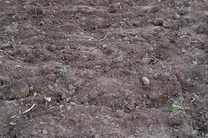 excavated land with greenery and weeds for planting vegetables photo