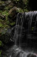 waterfall in the middle of the forest photo