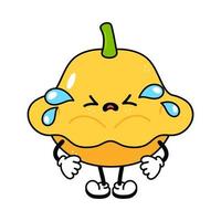 Cute funny crying sad yellow squash character. Vector hand drawn traditional cartoon vintage, retro,kawaii character illustration icon. Isolated white background. Cry yellow squash character