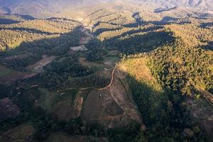 Aerial view of tropical rainforest area with gravel road, environmental conservation in countryside
