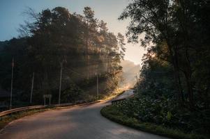 Sunlight through tropical rainforest on winding road in national park photo