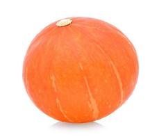 Ripe pumpkin on white background.Fresh and orange photo
