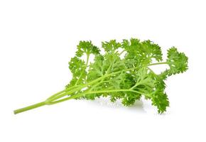 Parsley isolated on white background photo