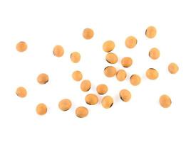 soybeans isolated on white background top view. photo