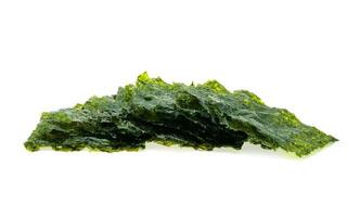 Dried seaweed isolated on the white background. photo
