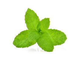 hojas de menta verde fresca aisladas sobre fondo blanco foto