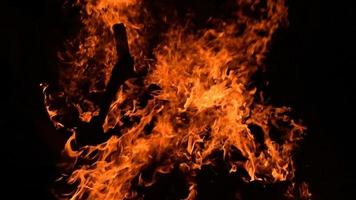 chamas de fogo em fundo preto, fundo de textura de chama de fogo de chamas, lindamente, o fogo está queimando, chamas de fogo com fogueira de madeira e esterco de vaca video