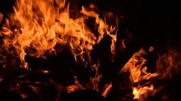vuur vlammen op zwarte achtergrond, bles vuur vlam textuur achtergrond, prachtig, het vuur brandt, vuur vlammen met hout en koemest vreugdevuur video