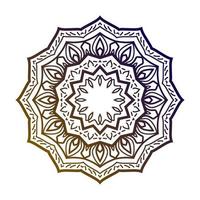 arte mandala aislado. elemento de diseño de vector redondo decorativo étnico