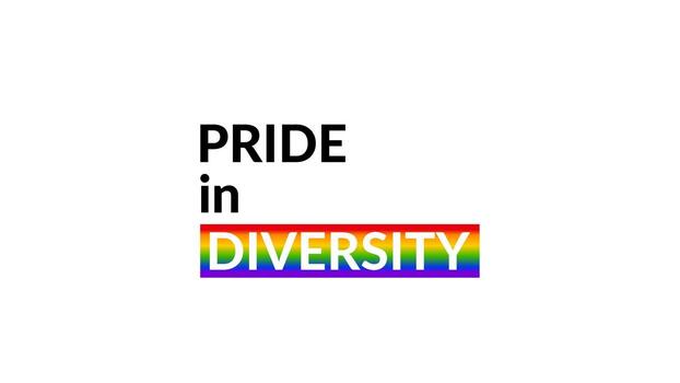 Pride in diversity text with color sign for web or print lgbt media support clean and strong message vector design