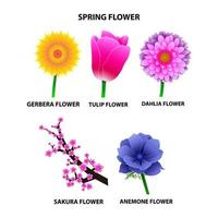 collection of colorful spring flower vector art illustration