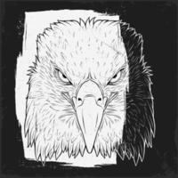 Hand drawn outline of wild American Bald Eagle head in vintage background grunge vector