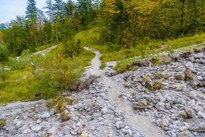 Forest in Alp mountains near Koenigssee, Konigsee, Berchtesgaden National Park, Bavaria, Germany. photo