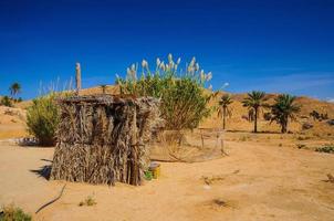 in Sahara desert, Tunisia, North Africa photo