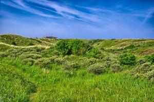Background image of lush grass field under blue sky North Sea, Z photo