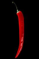 Red chili pepper photo