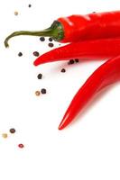 Red chili pepper photo