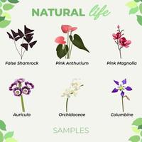 Natural life plants illustrations Free Vector