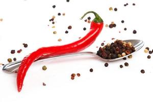 Red chili and dried pepper seeds photo