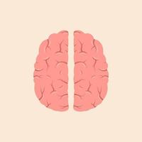 Brain or mind top view line art color vector icon for medical apps and websites.