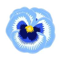 Single blue pansy close-up vector