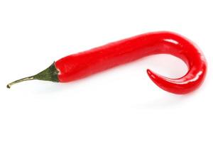 Red chili pepper photo