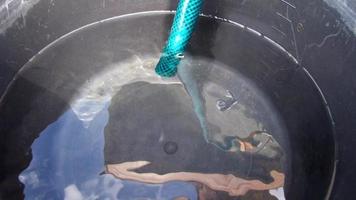 Water pouring from a well into plastic buckets