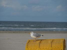 the beach of german island Juist photo