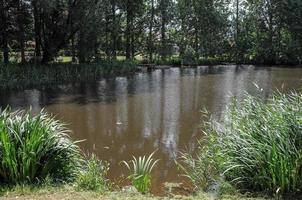 el río ems cerca de weener en alemania foto