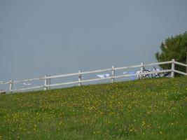 Hallig Hooge in the german north sea photo