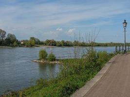 the river rhine and the city of Rees photo